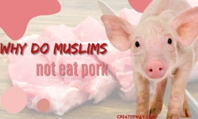 WHY-DO-MUSLIMS-NOT-EAT-PORK-2