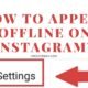 HOW TO APPEAR OFFLINE ON INSTAGRAM?