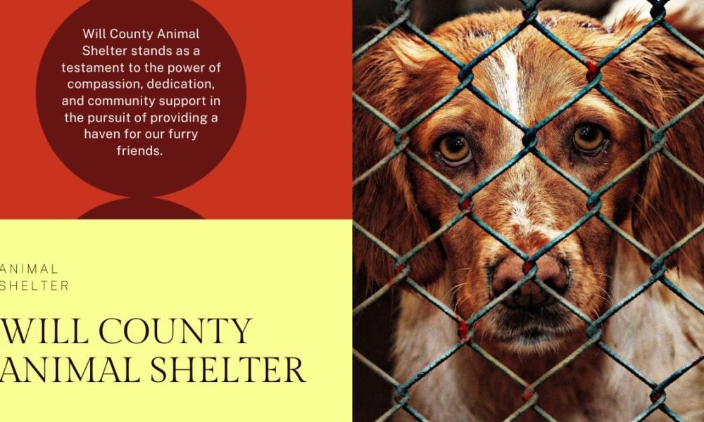 WILL COUNTY ANIMAL SHELTER