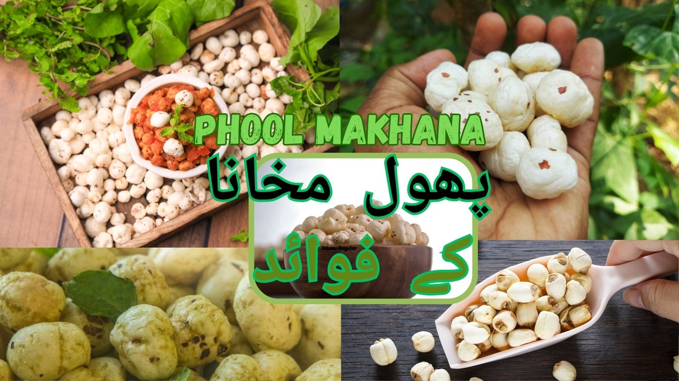 PHOOL MAKHANA benefits in Urdu