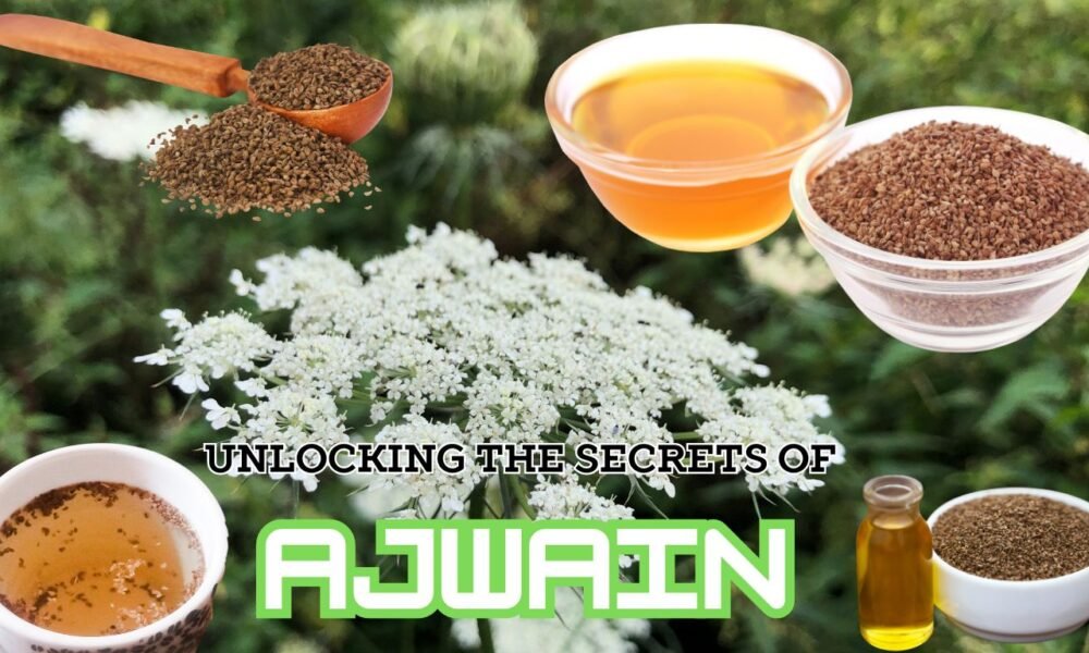 A collage highlighting Ajwain (Carom seeds) and its various forms and uses. The image features a central cluster of white Ajwain flowers with green foliage in the background. Surrounding this are six smaller images showing different presentations of Ajwain: whole seeds in a wooden spoon, seeds in a glass bowl, ground powder in a white bowl, tea in a cup, honey-like liquid in a glass bowl, and oil in a small bottle. Above is the text ‘UNLOCKING THE SECRETS OF AJWAIN’ against a green to blue gradient background.