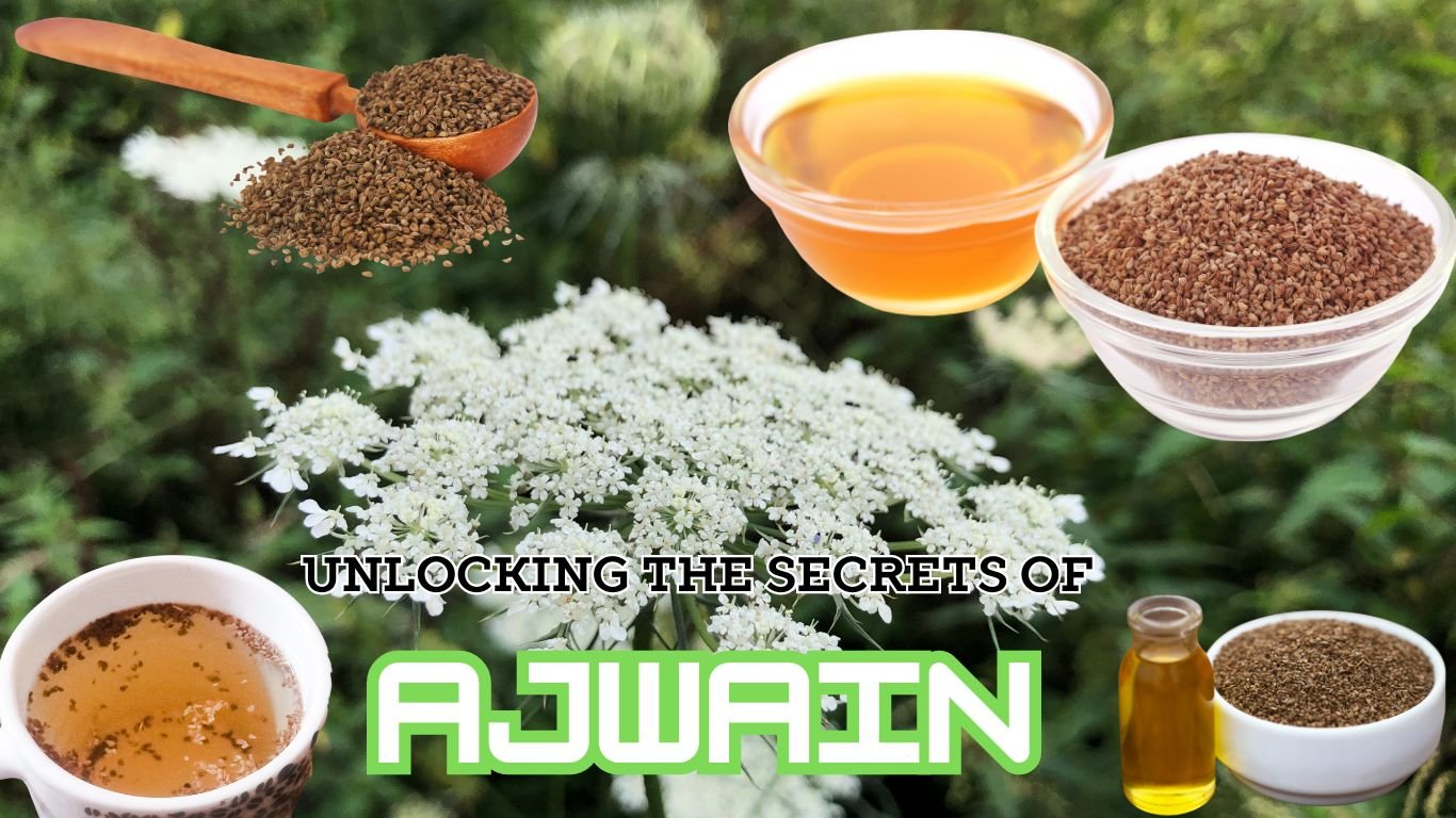 A collage highlighting Ajwain (Carom seeds) and its various forms and uses. The image features a central cluster of white Ajwain flowers with green foliage in the background. Surrounding this are six smaller images showing different presentations of Ajwain: whole seeds in a wooden spoon, seeds in a glass bowl, ground powder in a white bowl, tea in a cup, honey-like liquid in a glass bowl, and oil in a small bottle. Above is the text ‘UNLOCKING THE SECRETS OF AJWAIN’ against a green to blue gradient background.